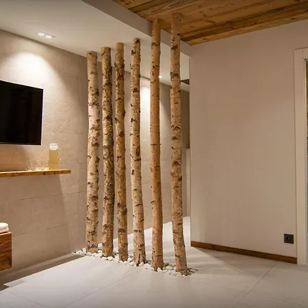 Chalet Alphonse - Ovo Network Châtel