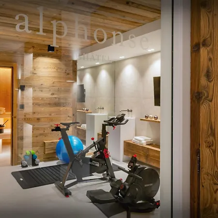 Chalet Alphonse - Ovo Network Châtel